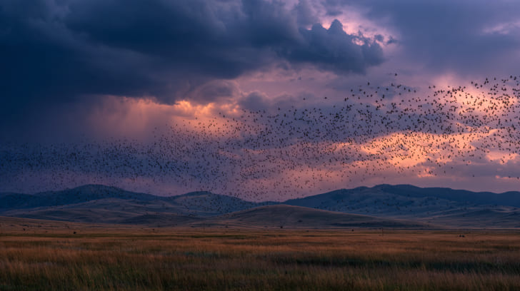 Transit Lilith Sextile Natal Jupiter Illustration